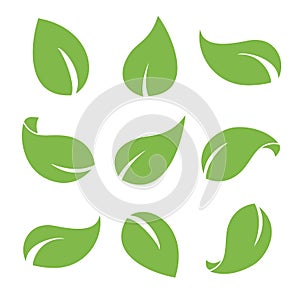 Green leaves set on white background. Flat Design elements for eco and organic bio logo, natural products, pharmacy, medicine, ico