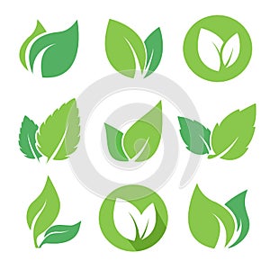 Green leaves set on white background. Flat Design elements for eco and organic bio logo, natural products, pharmacy, medicine, ico