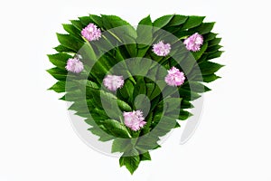 Green leaves in the shape of heart. Decorated with pink flowers. The concept of love of nature and protection of the environment.