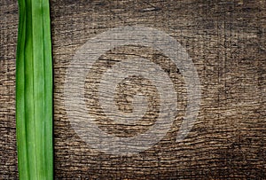 Green leaves on the side on old cracked wooden