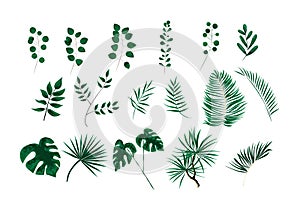 green leaves in the style of watercolor