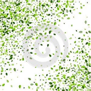 Green Leaves Swirl Vector Wallpaper. Flying Leaf