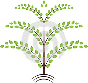 Green Leaves Tree Illustration