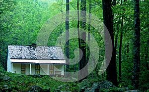 Green leaves and trees surround little white cabin in the Smokies.