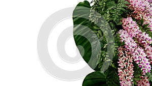 Green leaves of tropical foliage plants fern and philodendrons with beautiful foxtail orchid exotic flowers, floral arrangement