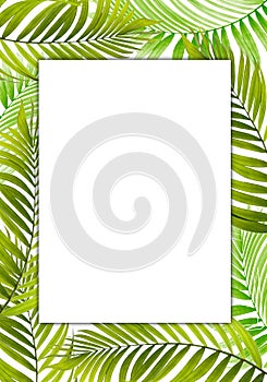 Green leaves of tropical or home plants border on green background. Nature leaves, tropical background template