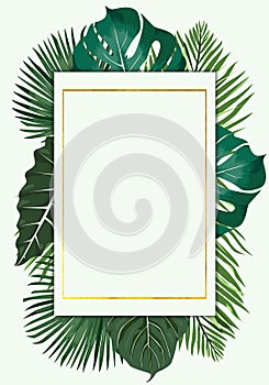 Green leaves of tropical or home plants border on green background. Nature leaves, tropical background template