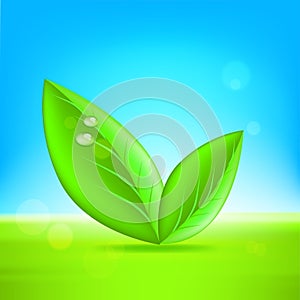 Green leaves. Vector 10 eps