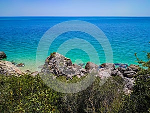 Green leaves and vegetation with idyllic landscape with crystal clear water at Galapos beach, Setubal PORTUGAL