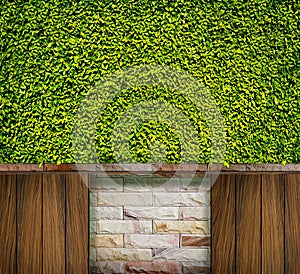 Green leaves wall, brick and wood for background