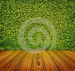 Green leaves wall and wooden floor for background