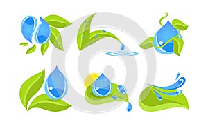 Green leaves and water drops set, ecology concept vector Illustration isolated on a white background