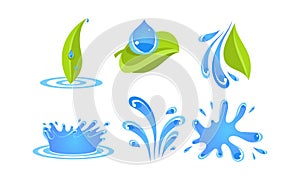 Green leaves, water drops and splashes, ecology concept vector Illustration on a white background