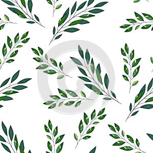 Green leaves. Wedding concept. Floral poster, invite. Vector arrangements for greeting card or invitation design background