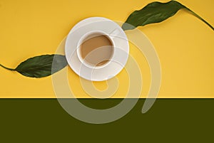 Green leaves, white cup of coffee, yellow, green background. Place for text. Flat lay. Top view. Copy space