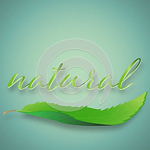 Green left tree and natural text as environment conservation , Eco and saving the earth concept , vector illustration