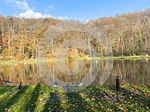 Green leisure park Bois des Reves with lake in Belgium photo