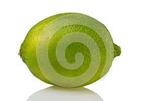 green lemon (lat. Citrus)