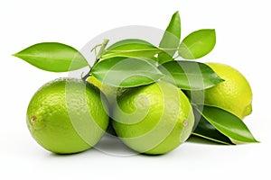 Green lemon with leaves isolated on white background fresh citrus fruit concept for beverages