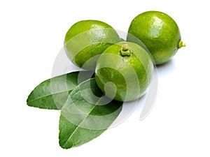 Green lemon lime citrus with leaves isolated on white background
