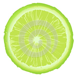 Green lemon slice on white background