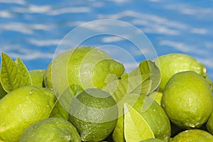 Green Lemons