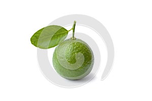 Green lemons and lemon leaves isolated on a white background.