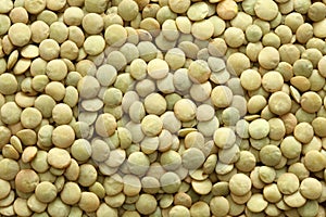 Green lentils