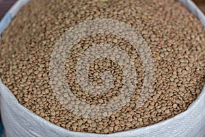 Green lentils