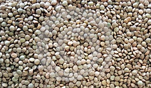 Green lentils background