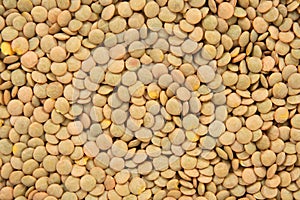 Green lentils background