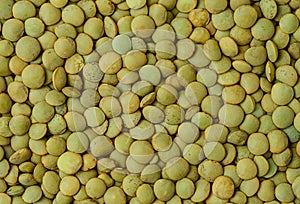 Green lentils background. Top view, overhead