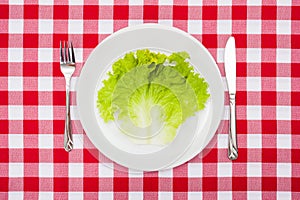 Green lettuce leaf on white plate