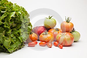 Green lettuce, red and green tomatoes, red nectarines.