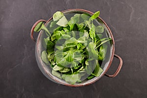 green lettuce salad