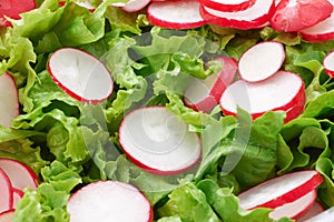 Green lettuce salad