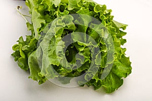 Green lettuce salad heap leaves