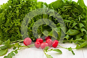 Green lettuce salad and red radish