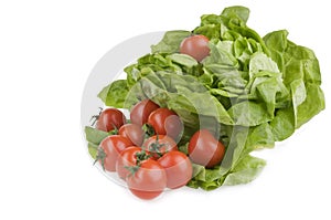 Green lettuse salad and tomato fresh food photo