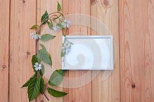 Green liana with white flowers amid wooden boards