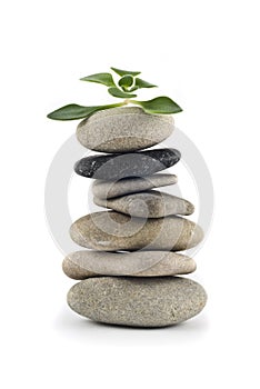 Green Life - balanced pebble tower