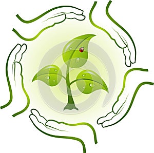 Green life in hands,