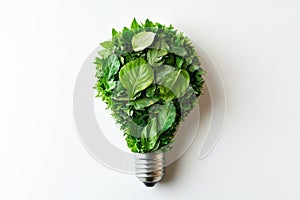 Green Energy Lightbulb
