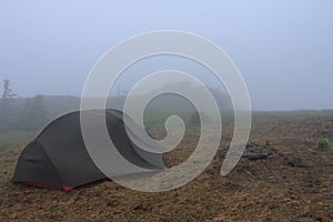 Green lightweight freestanding three-season 2-person tent on  hill in grass in the morning after rainstorm.  Jesenik mountains,