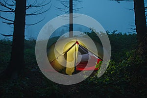 Green lightweight freestanding three-season 2-person tent on forest in the morning after rain in Beskid Mountains