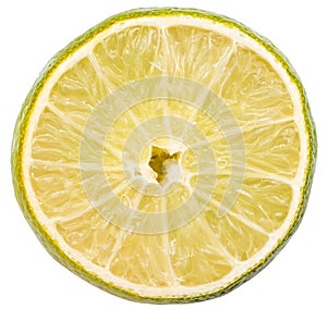 Green Lime Fruit Slice