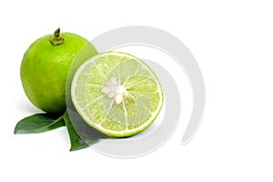 Green Lime fruit slice