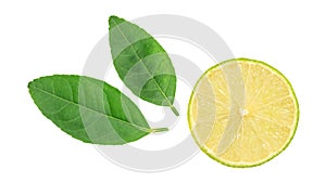 Green lime and leaf on a white background