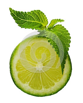 Green lime with mint leaf