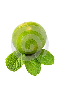 Green lime and mint on white background